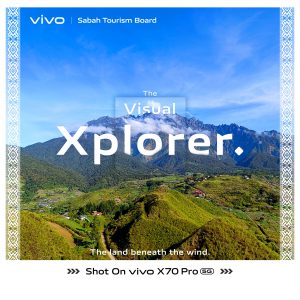 vivo Visual Xplorer_KV