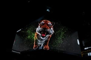 Tiger in the City_visual