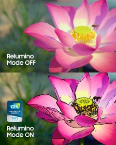 Relumino-11