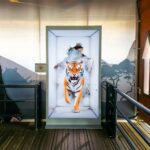 Samsung Spatial Signage Enhances Safari World Experience at Everland